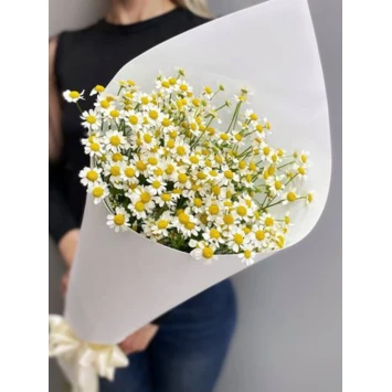 Букет из ромашек