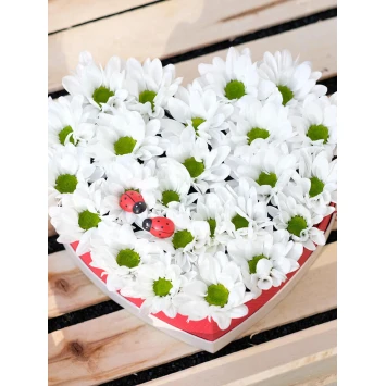 Ромашки в шляпной коробке
