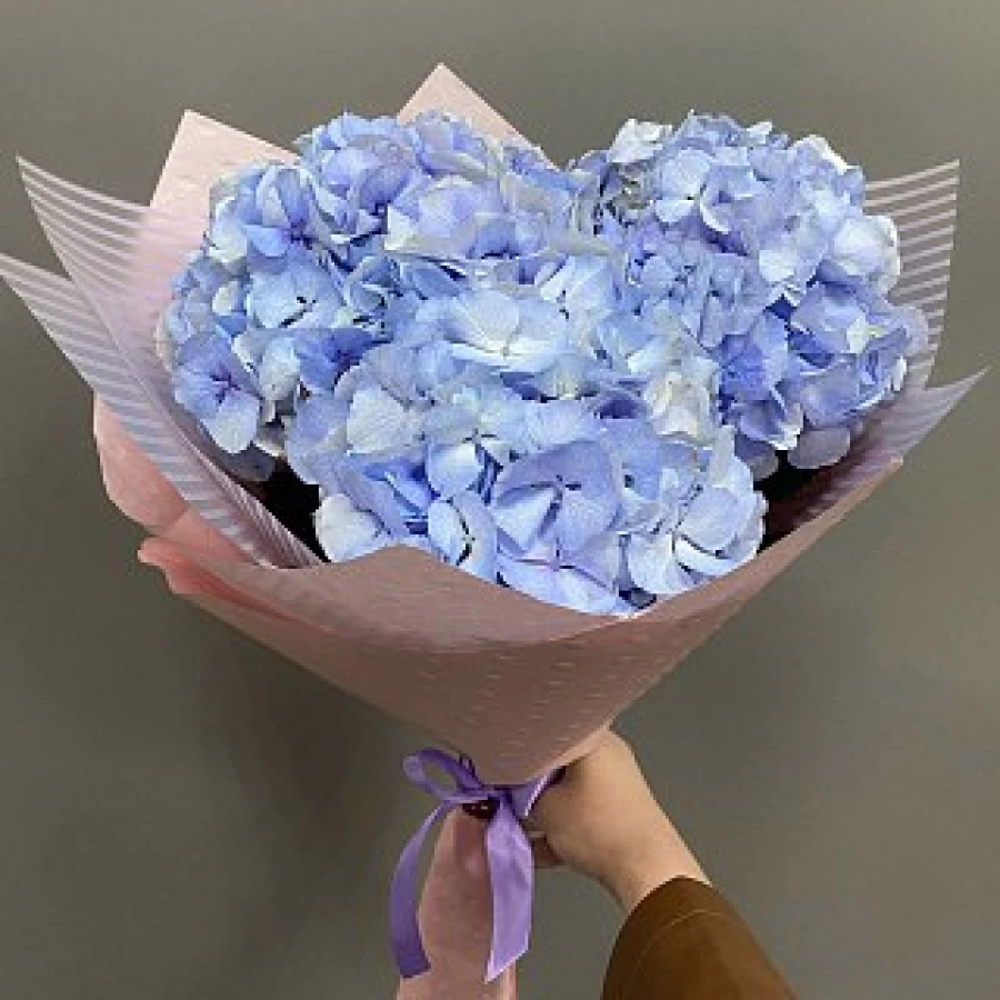 Букет из гортензий ❤️ Цветы Астана