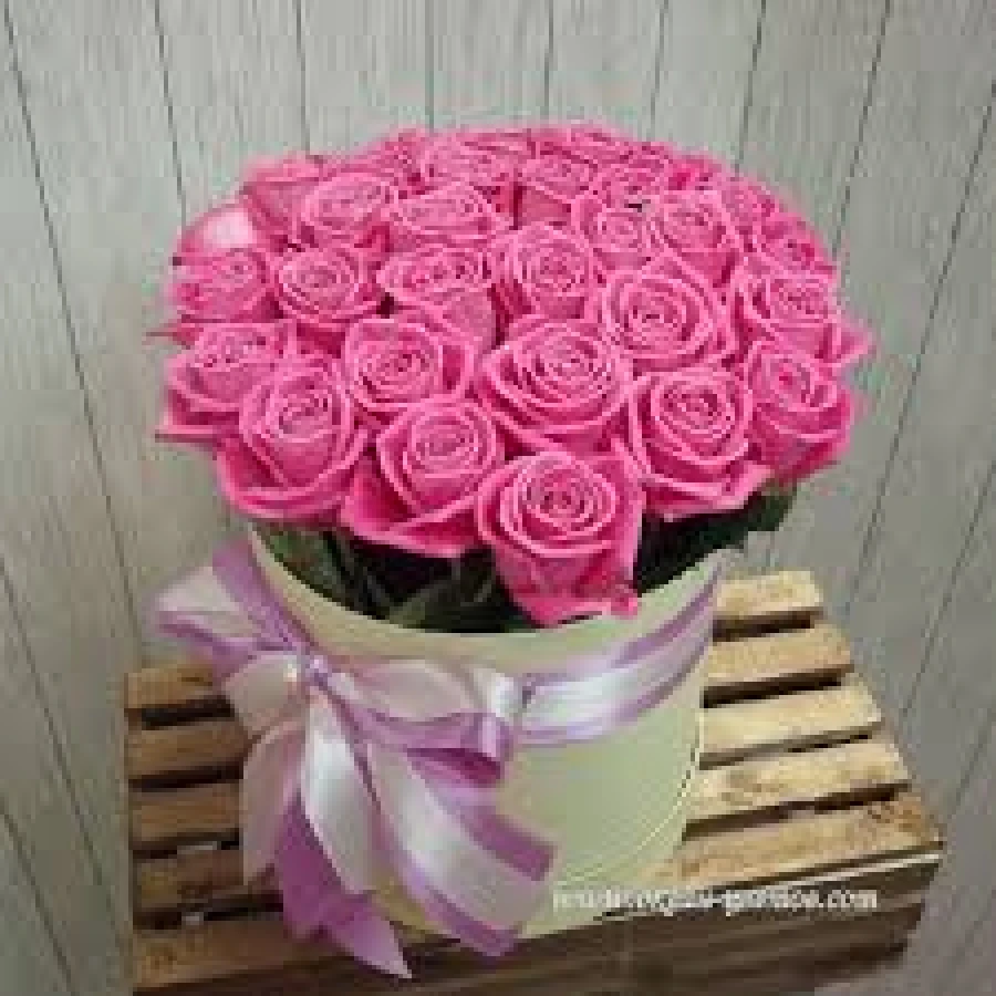 Коробка из 25 розовых роз
