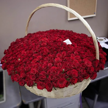 1001 Красная роза ❤️