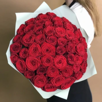 51 красная роза