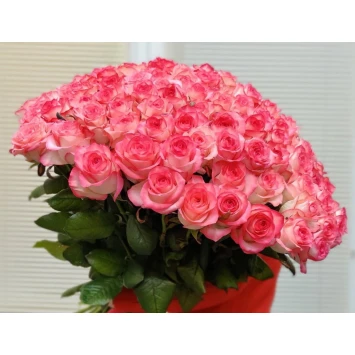 75 розовых роз